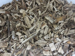 Willow: The fast-track to self-supply woodfuel