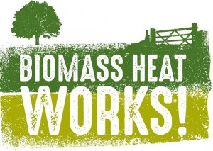 Revised Biomass Ideas