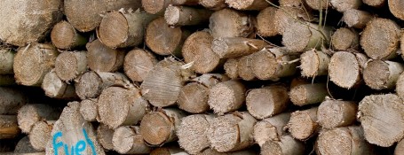 Biomass-wood-fuel