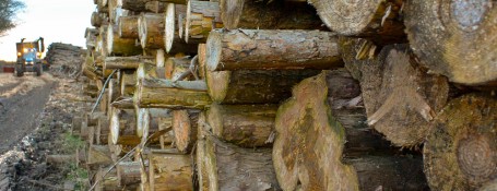 Wood-fuel