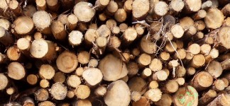 Biomass-fuels1