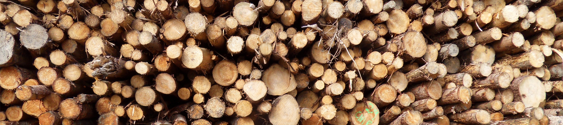 Biomass-fuels1