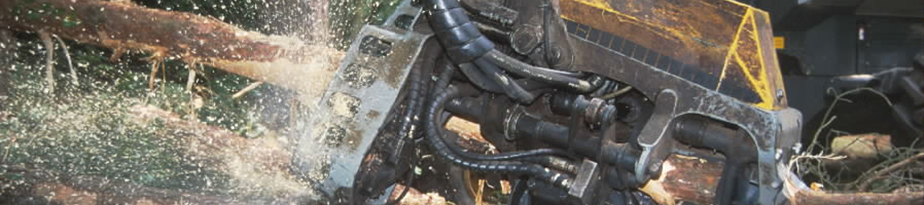 Biomass-fuels2