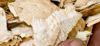 Biomass-fuels3
