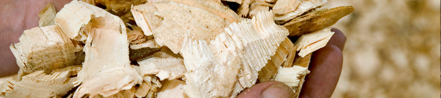Biomass-fuels3