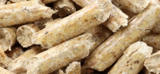 Biomass-fuels4