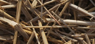 Straw