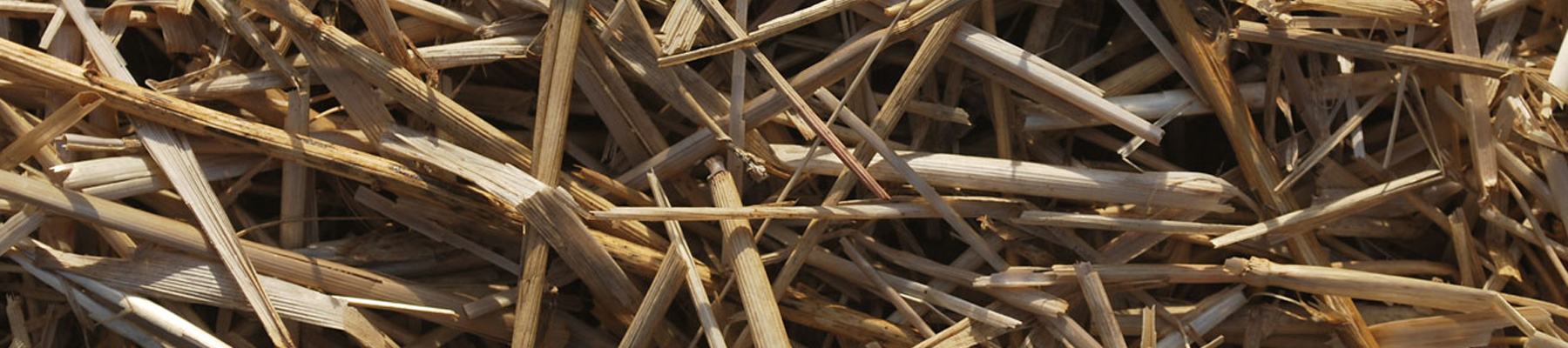 Straw