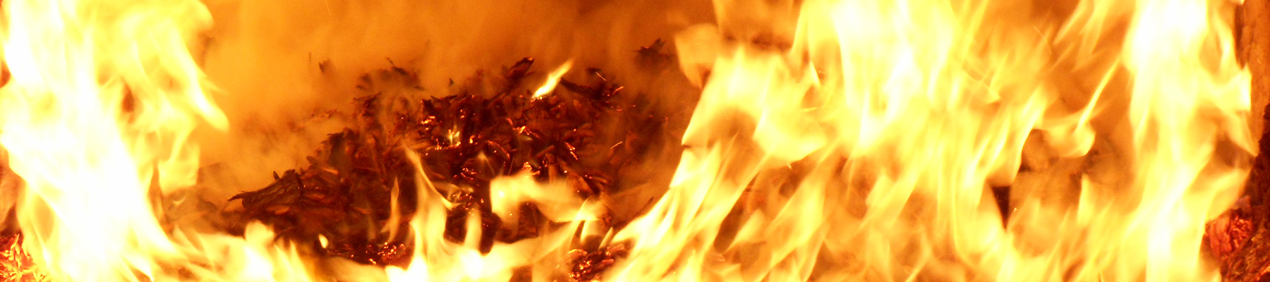 Why-choose-biomass heat1