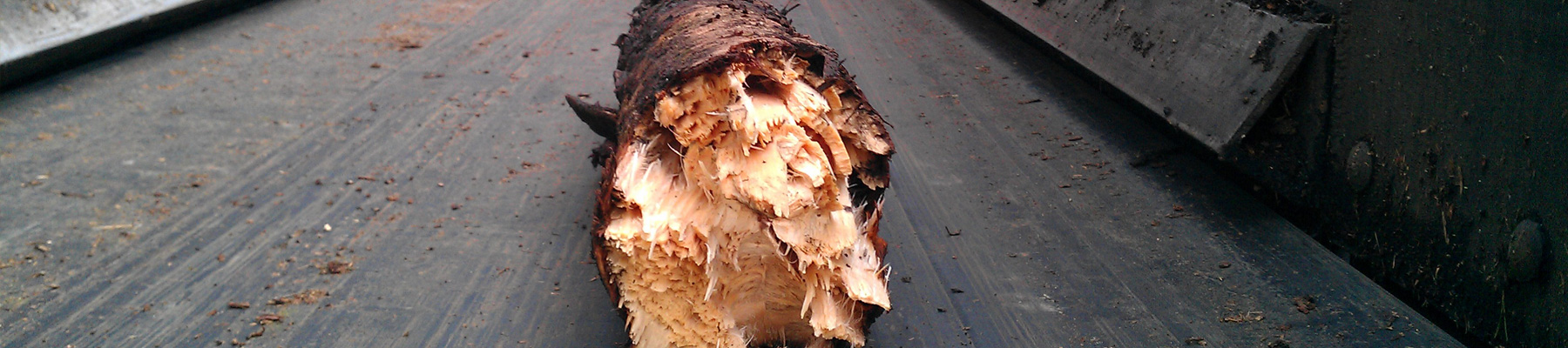 Why-choose-biomass heat6