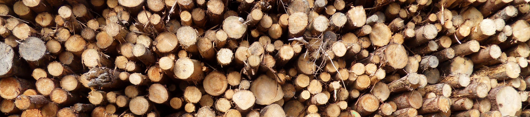 Why-choose-biomass heat7