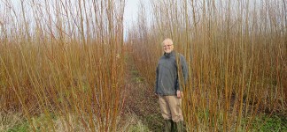 Mike Pearson with the SRC willow crop