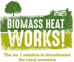 Revised Biomass Ideas