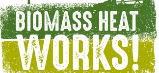 Revised Biomass Ideas